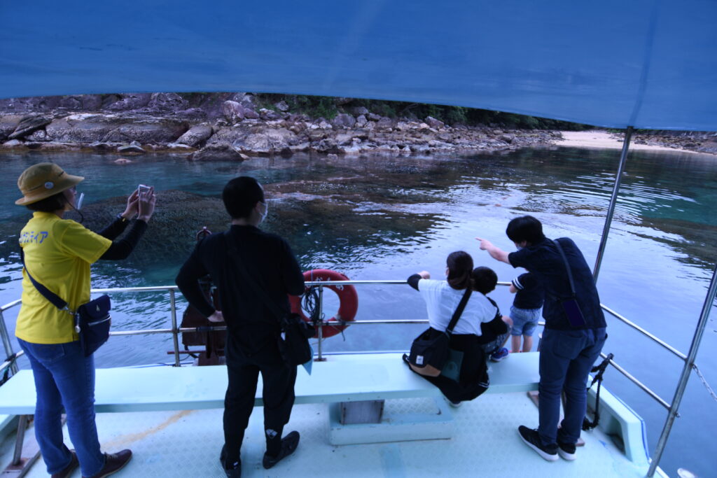 シコロサンゴ：大潮-竜串グラスボート