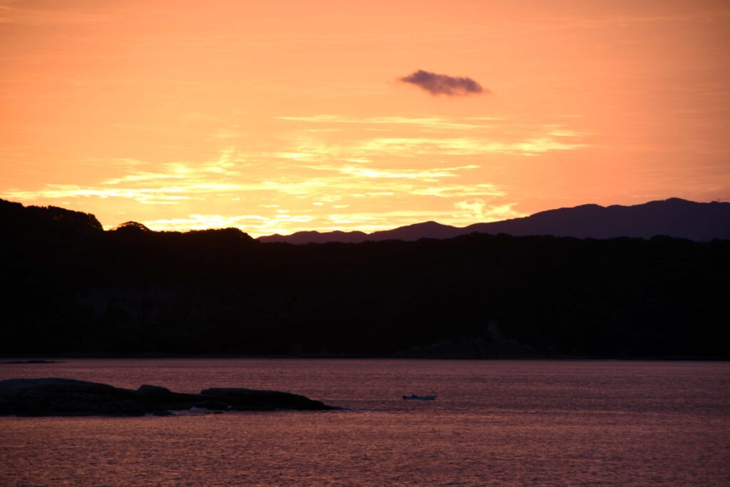 竜串湾の夜明け-竜串グラスボート