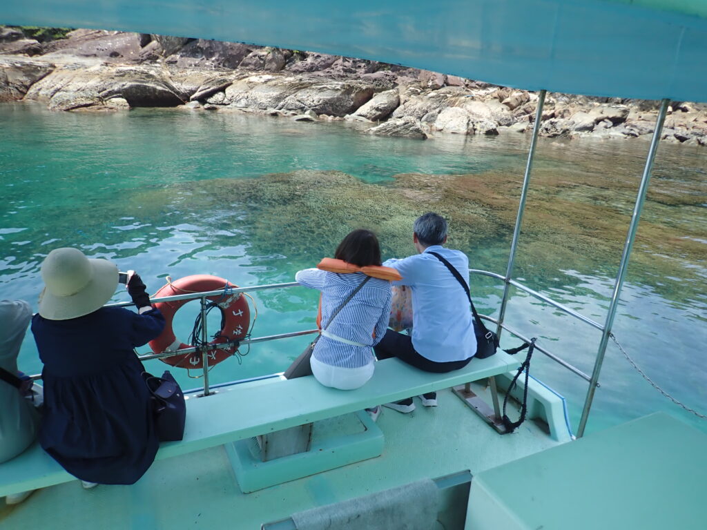 見残し湾のシコロサンゴ-竜串グラスボート