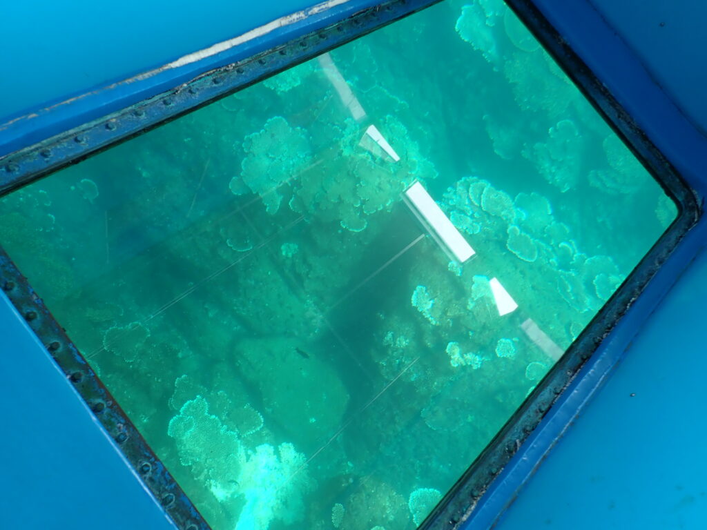 サンゴの白化-竜串グラスボート