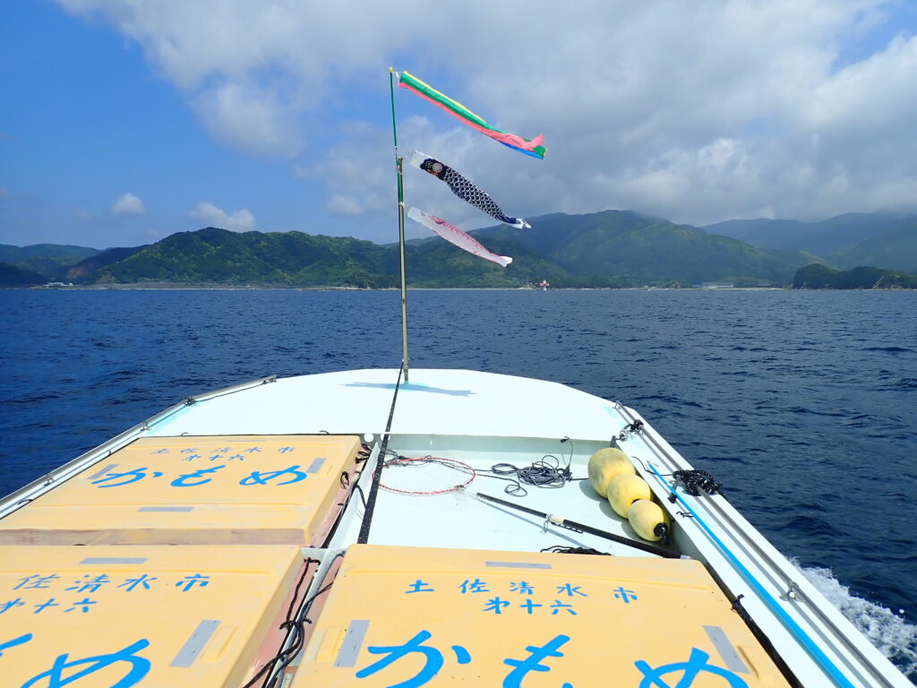 「鯉のぼり」の季節-竜串グラスボート