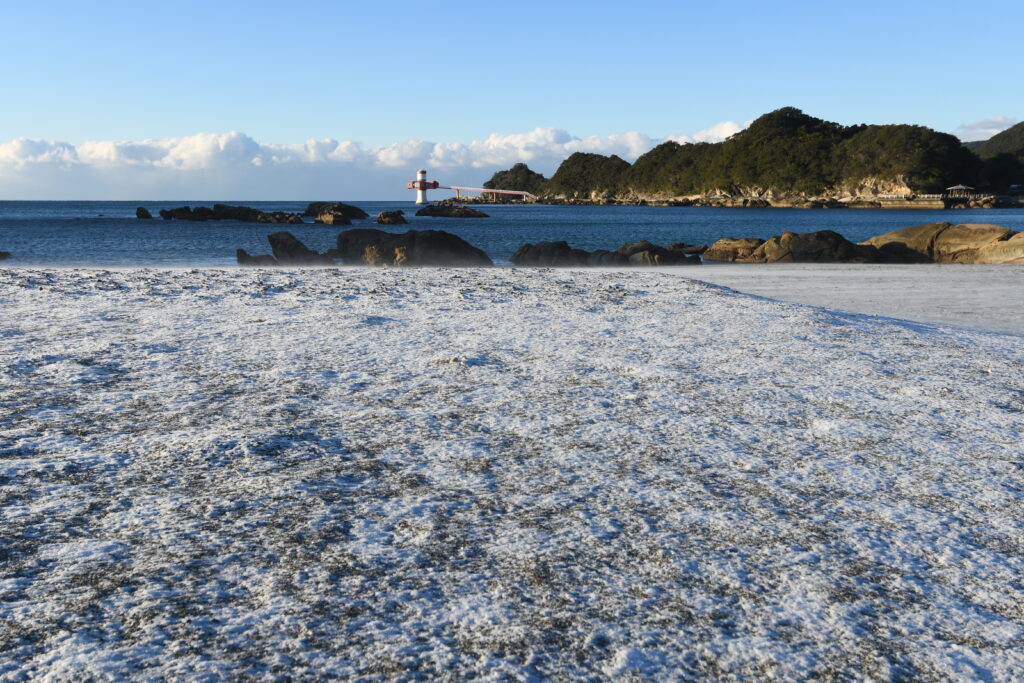 竜串に初雪1月10日-竜串グラスボート