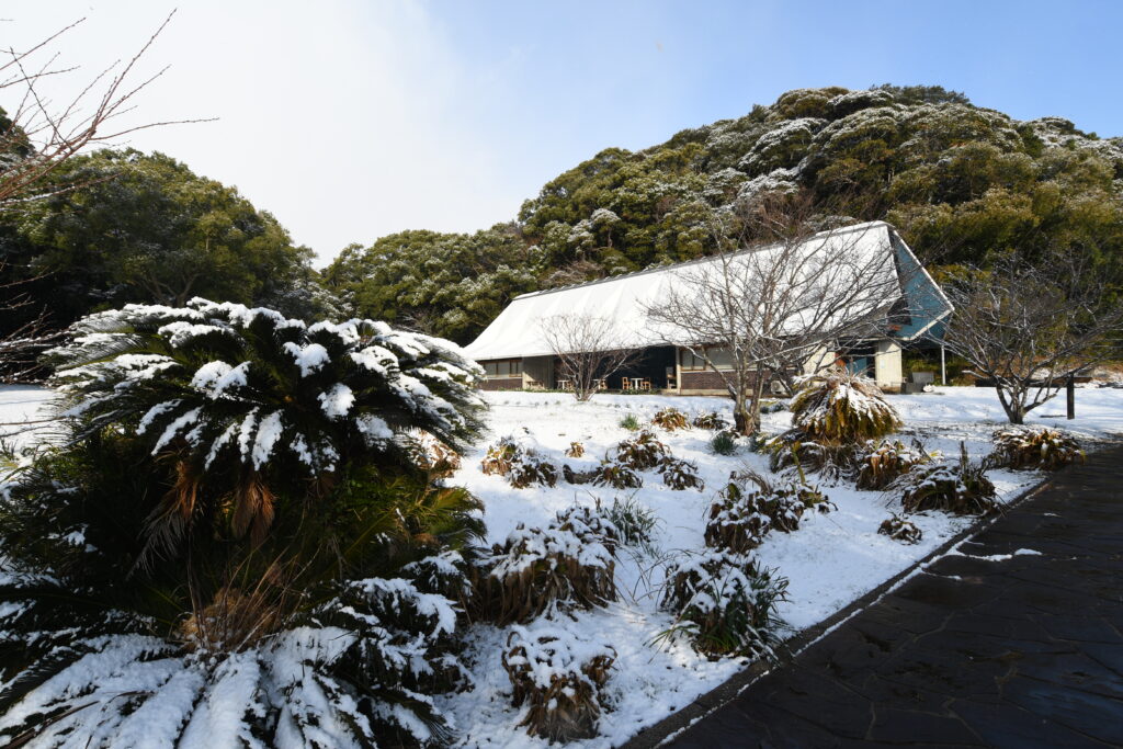 2月24日竜串は雪！-竜串グラスボート