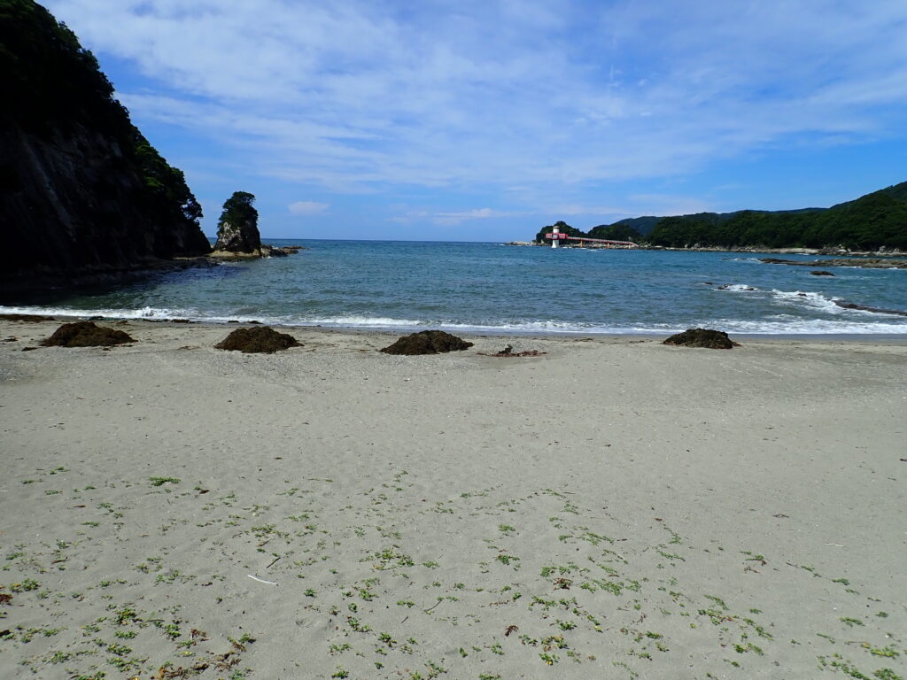 桜浜の清掃-竜串グラスボート