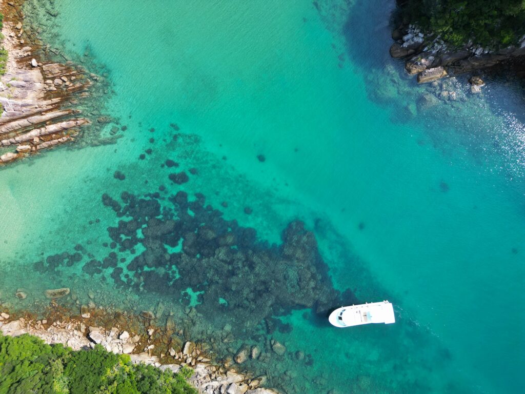 見残し湾シコロサンゴ-竜串グラスボート