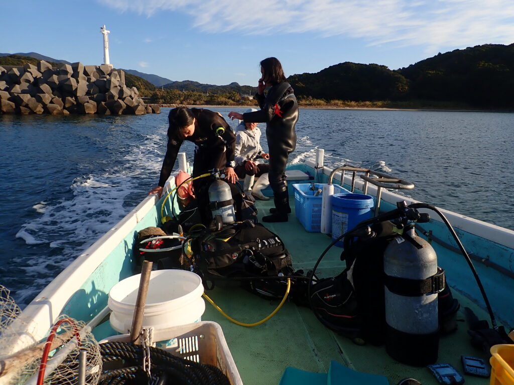 オニヒトデ駆除-竜串グラスボート