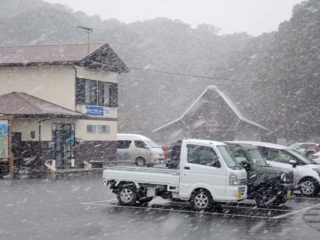 雪の舞う竜串-竜串グラスボート