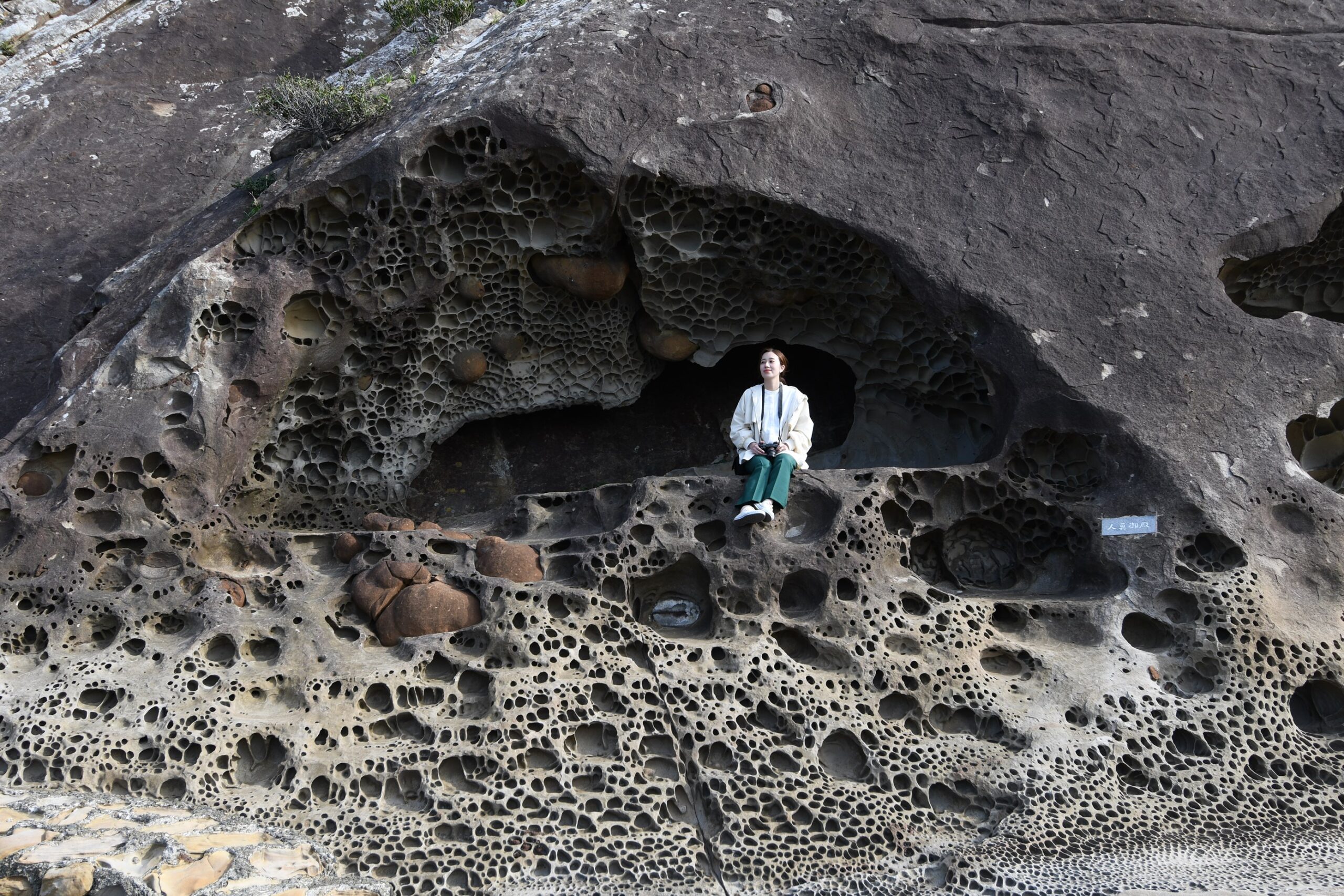 見残し海岸-竜串グラスボート