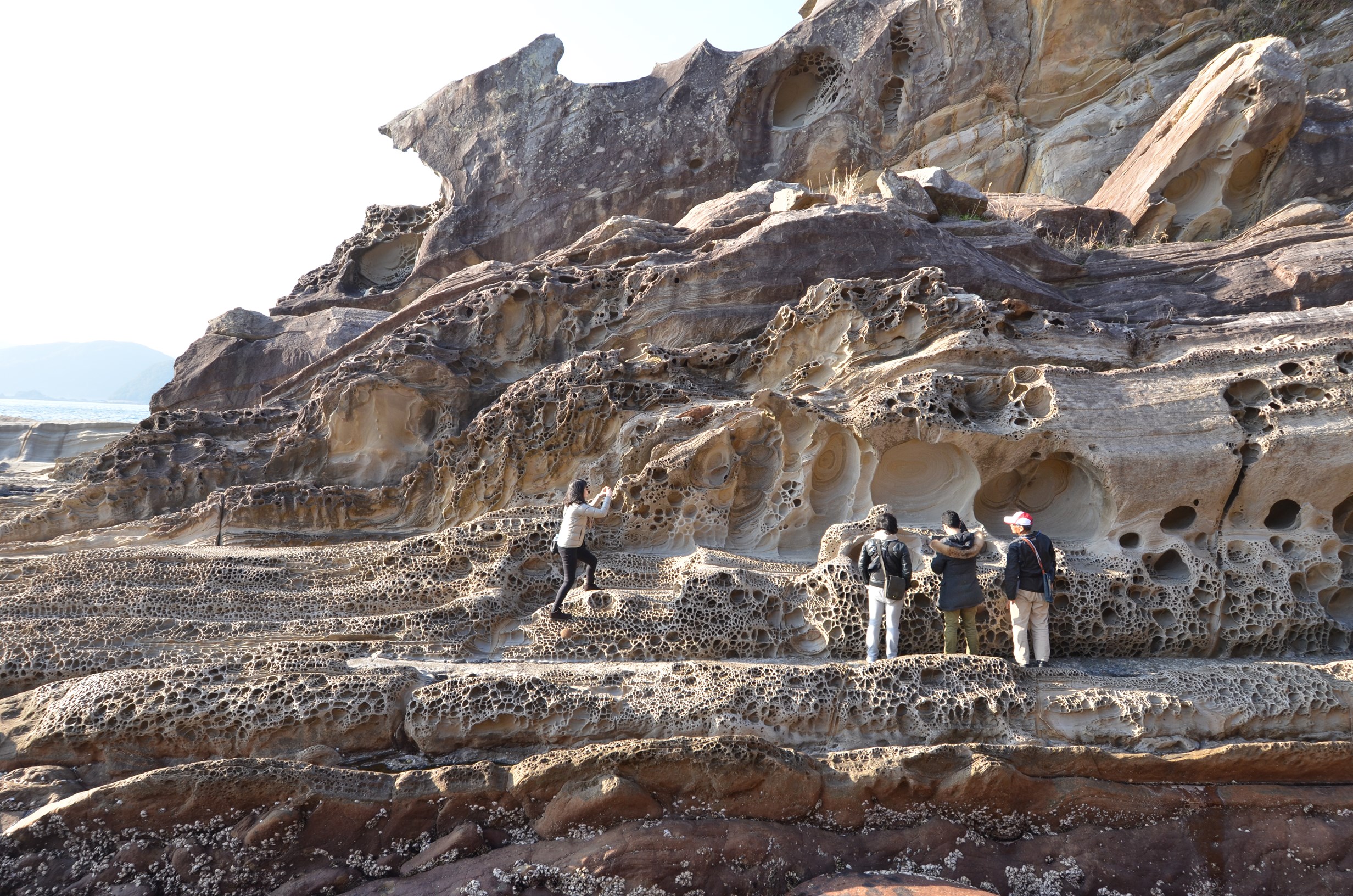 見残し海岸-竜串グラスボート