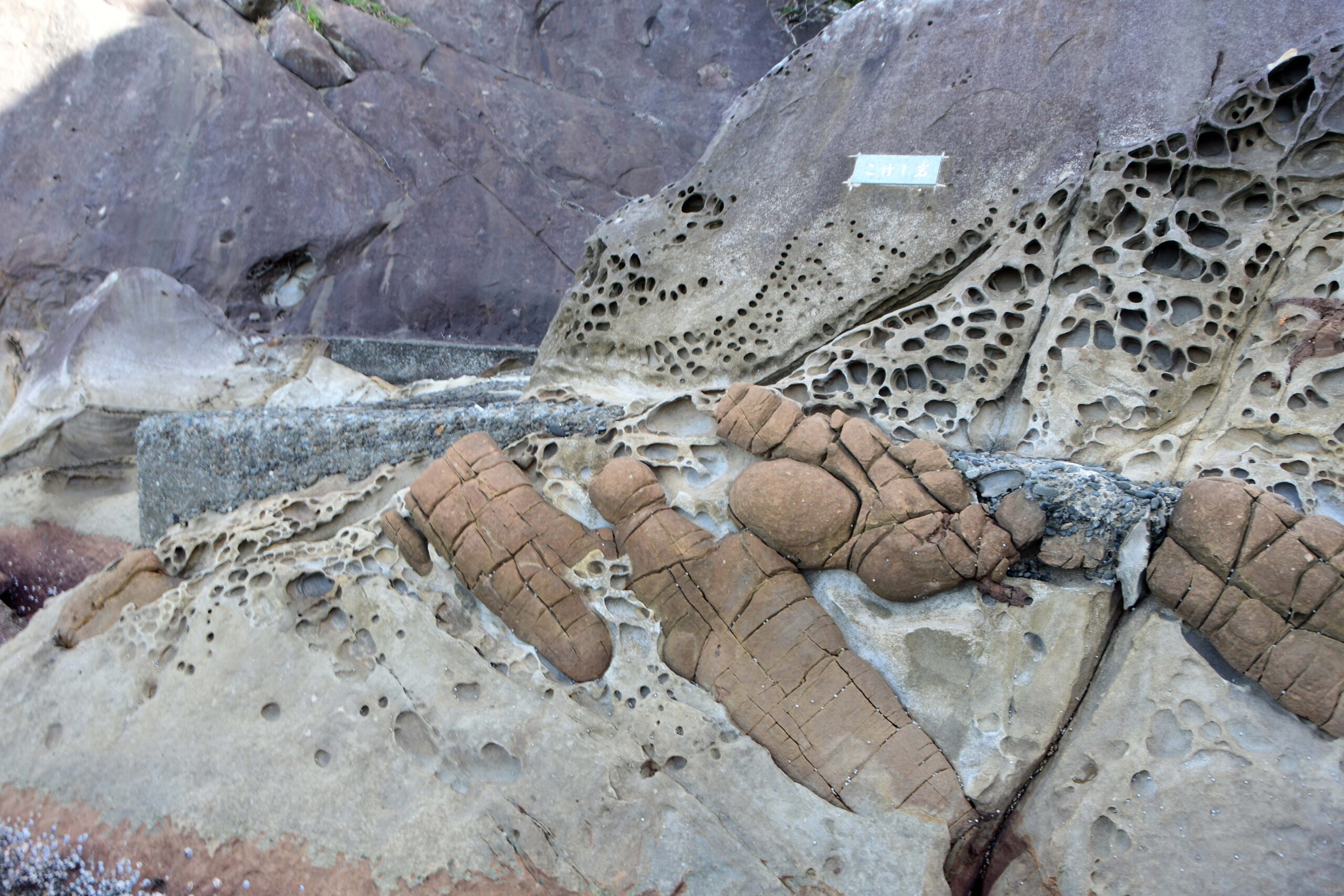 見残し海岸-竜串グラスボート