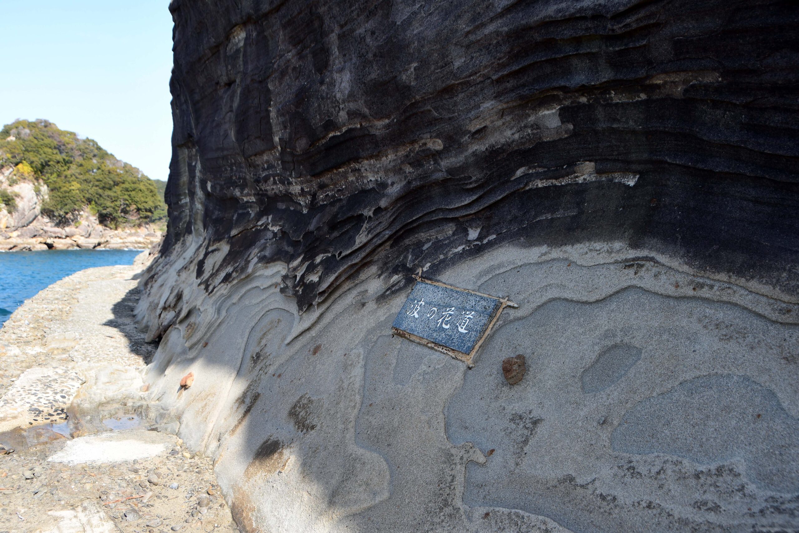 見残し海岸-竜串グラスボート