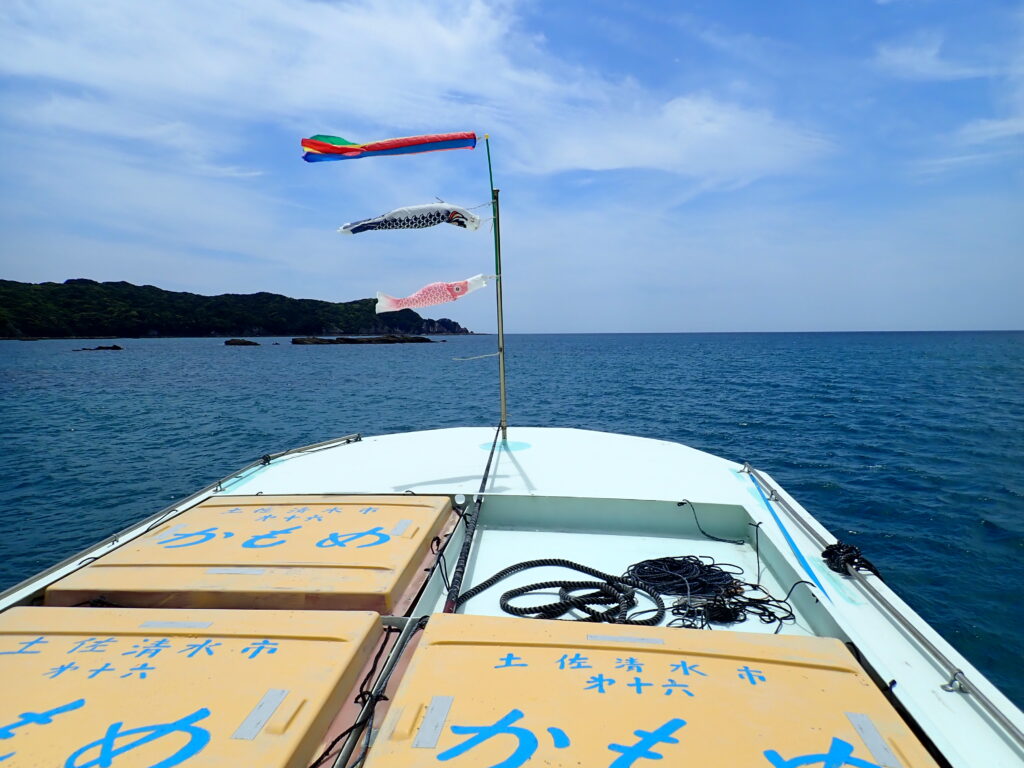 鯉のぼり-竜串グラスボート