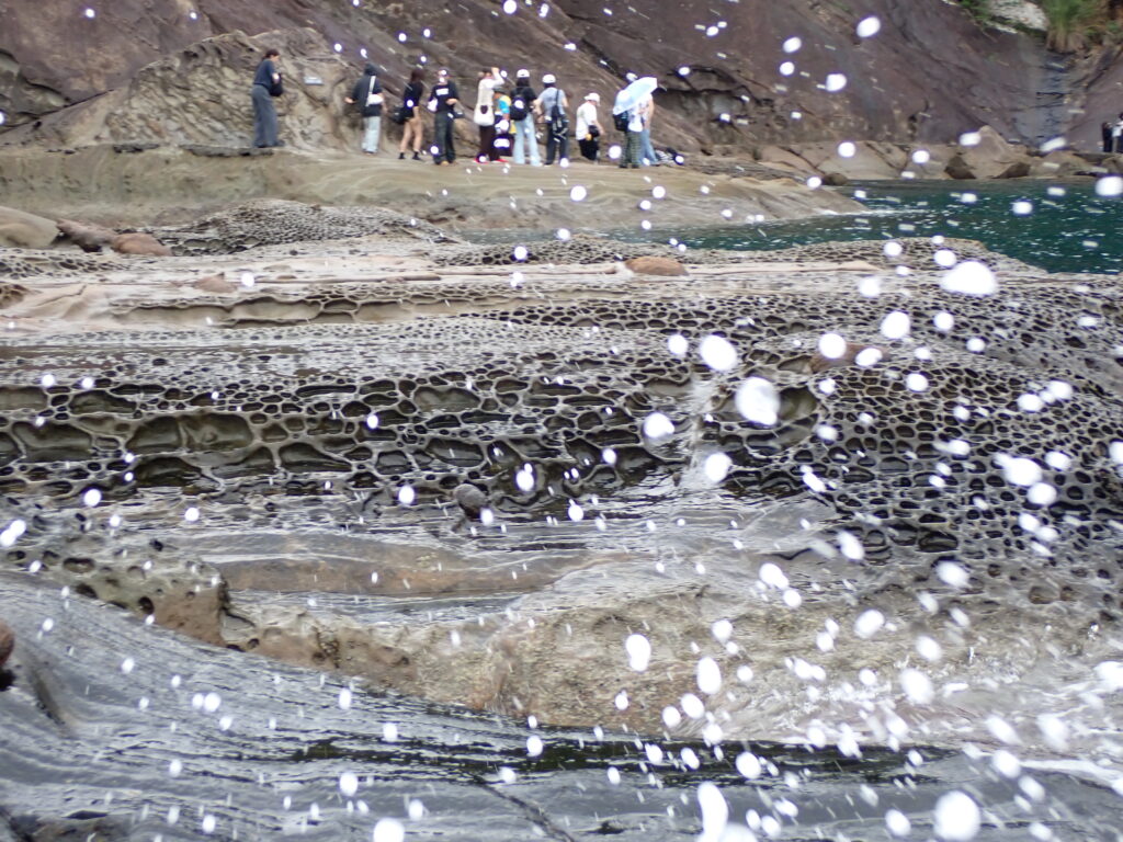 修旅の皆さんをご案内しました！-竜串グラスボート